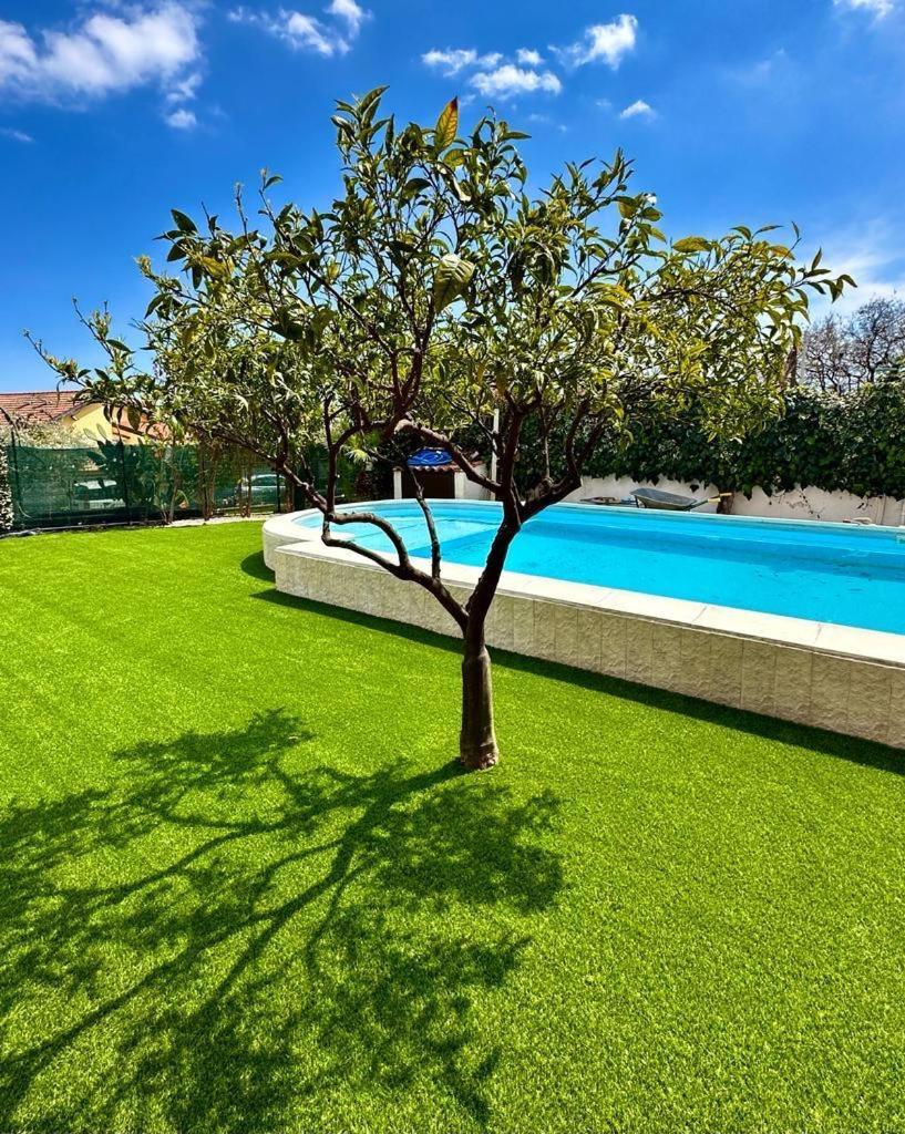 Etna Shelter Holiday House Mascalucia Exterior foto